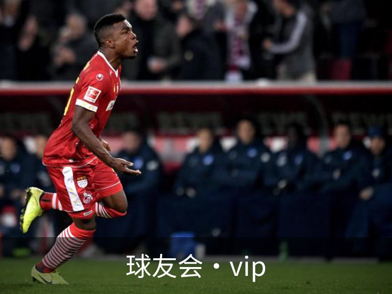 球友会·vip简介